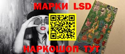 индика Ставрополь