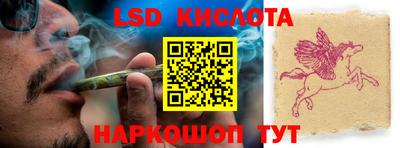 индика Ставрополь