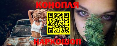 индика Ставрополь