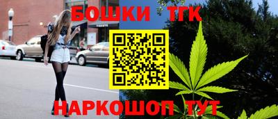 индика Ставрополь