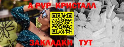 индика Ставрополь