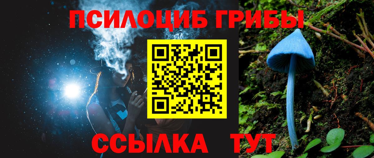 Нарткала  Галлюциногенные грибы Psilocybine cubensis  Вход с VPN 